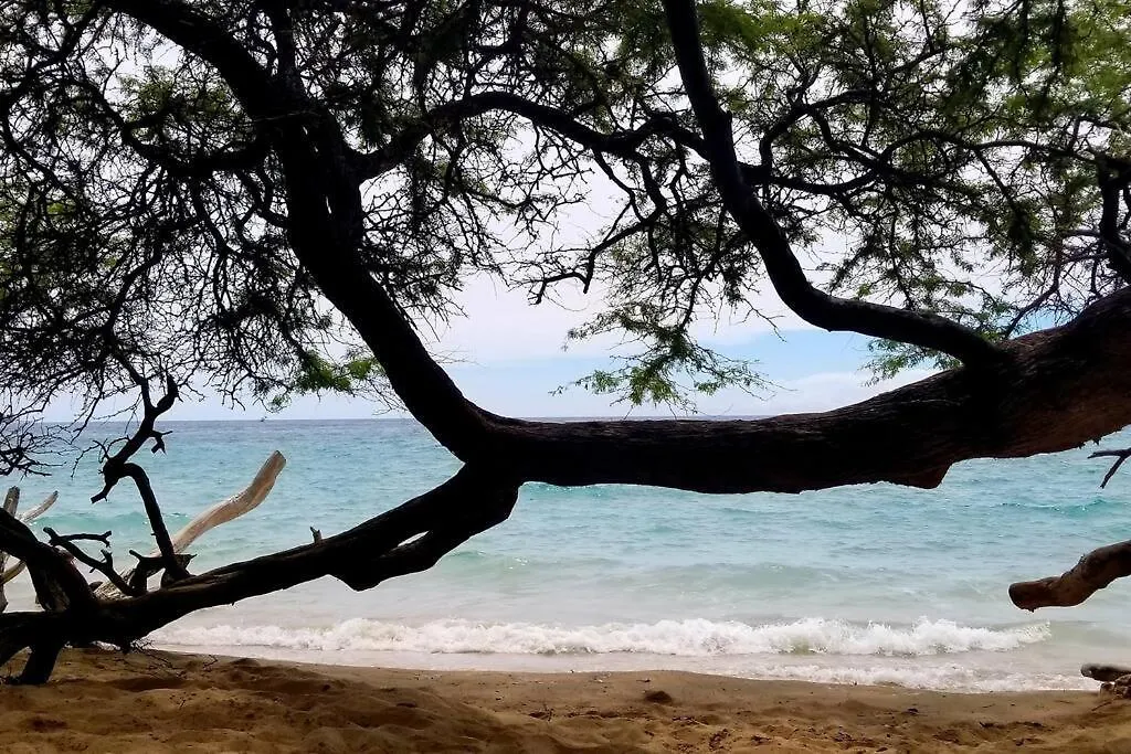 Apartment Ohana Beach Retreat At The Surf And Racquet Club Kailua-Kona USA