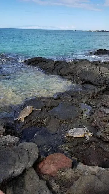 Ohana Beach Retreat At The Surf And Racquet Club Kailua-Kona USA
