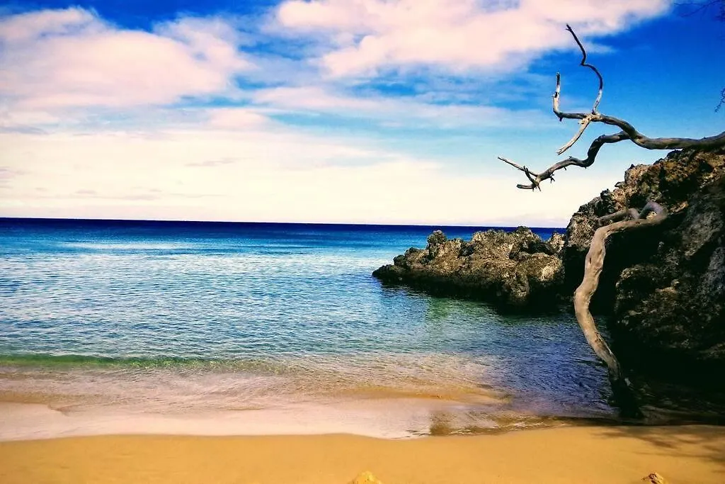 Ohana Beach Retreat At The Surf And Racquet Club Kailua-Kona USA